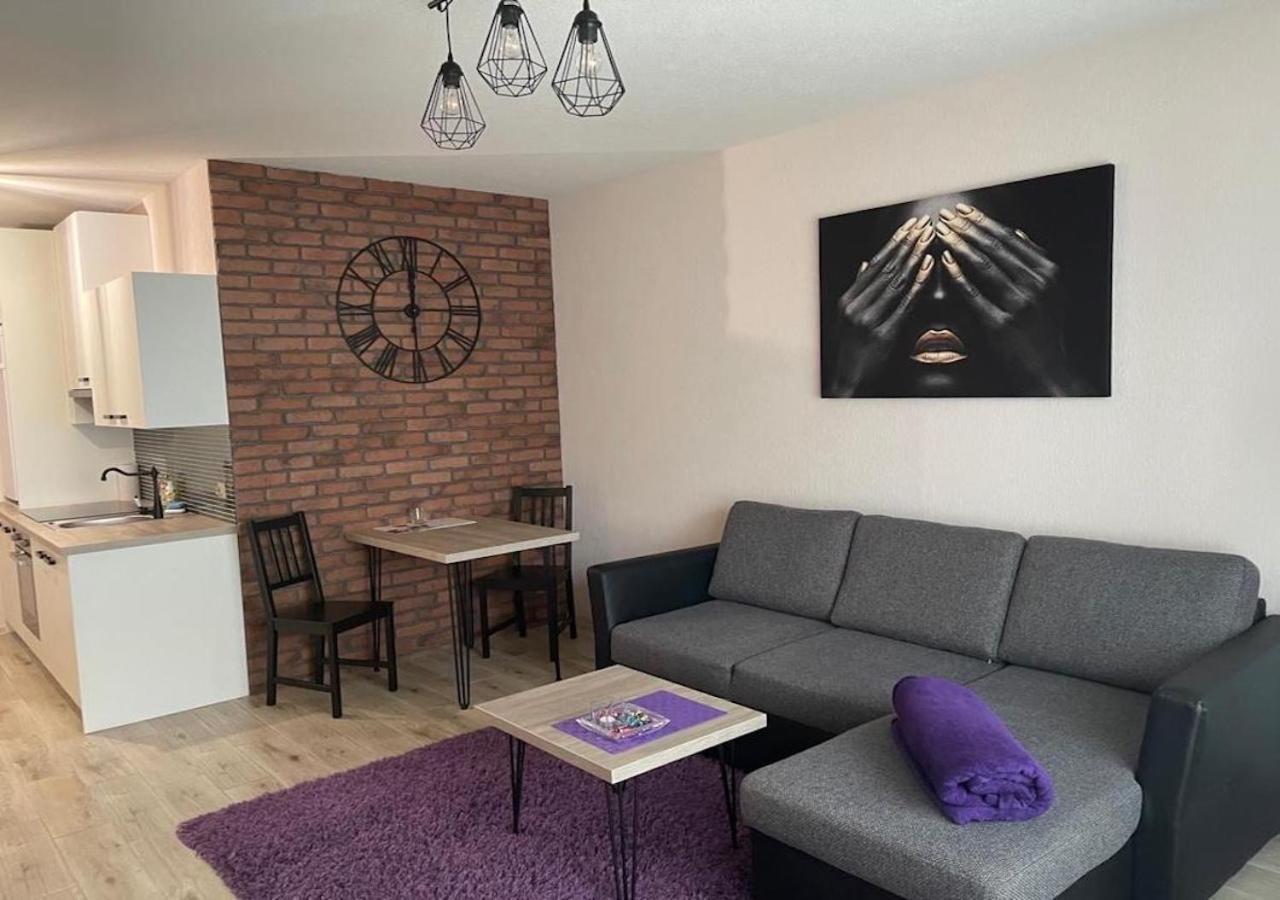 Apartamenty Bartnicza C Bielsko-Biala Luaran gambar